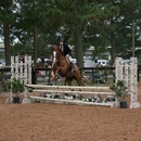 Equine International Stables - Horse Training