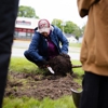 Eastern Tree Arboricultural Consulting gallery