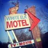 White Elk Motel Inc gallery