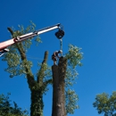 11 Tree Master - Tree Service