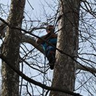 Merritt's Tree Services