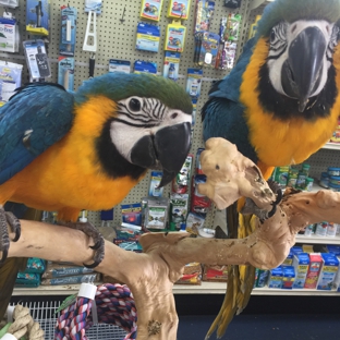 Animal Pet Shop - Miami, FL. We sell baby tame birds of all kinds