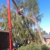 Nye's Tree Service & Stump Removal gallery