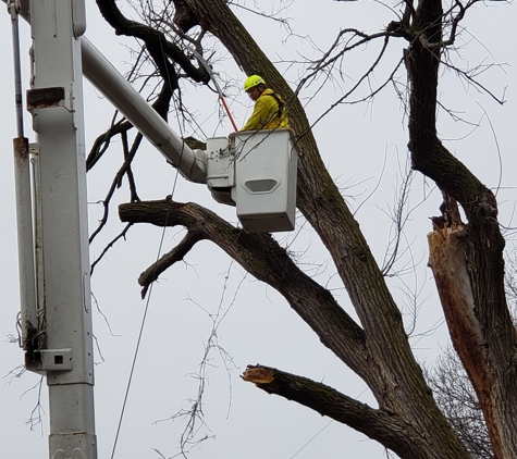 Family Tree Service - Kansas City, MO