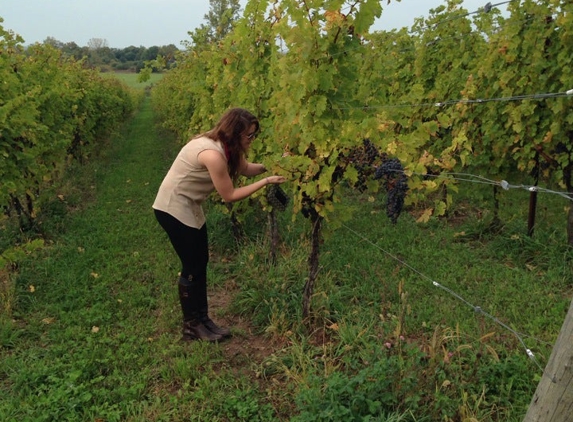 Arrowhead Spring Vineyards - Lockport, NY