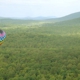 Balloons Over Georgia