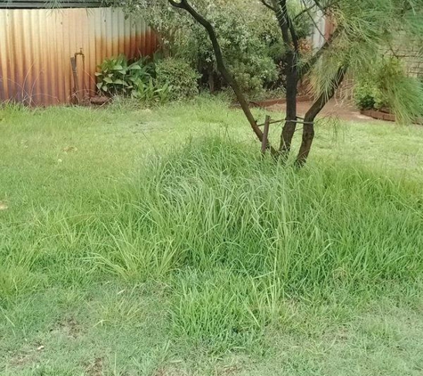 G R Lawn Mowing and Gardening - Australind, WA. Before