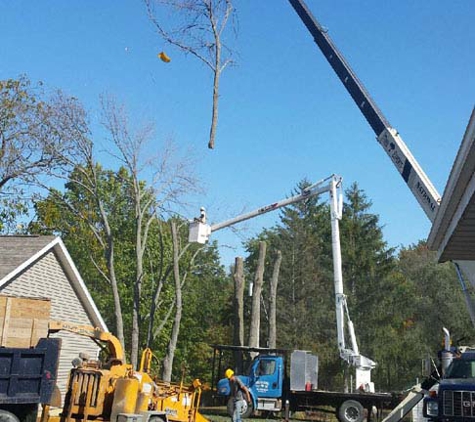 Hinman Tree Service - Collins, OH