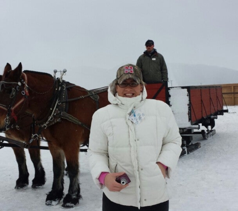 National Elk Refuge - Jackson, WY