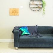 Gallery Image Number 1