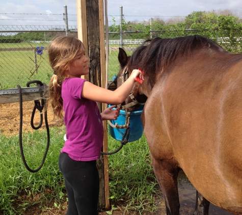 Escudero Pasofino Riding School - Miami, FL