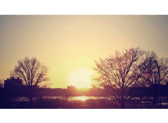 Mount Hebron Cemetery - Flushing, NY