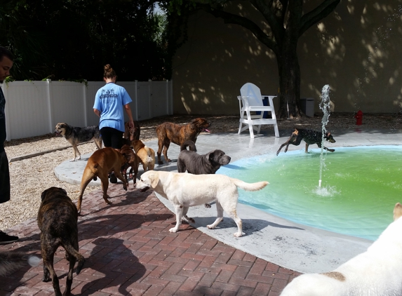 Arfington Pet Resort - Tamarac, FL