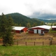 Conifer Stables