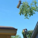 Tarrant Tree Services - Tree Service