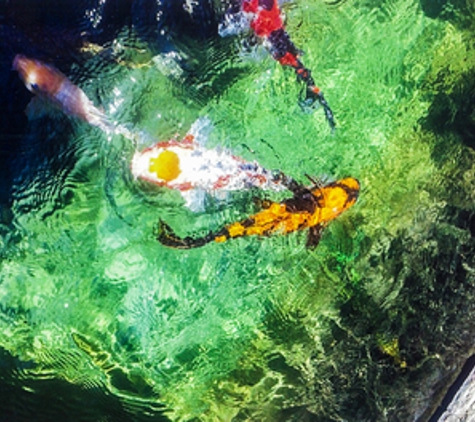 Koi Pros - Orange, CA. koi pond filtration repair and rebuild orange county los angeles ca