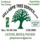 Gillaspie Tree Service
