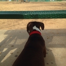 Wiggly Field Dog Park - Parks