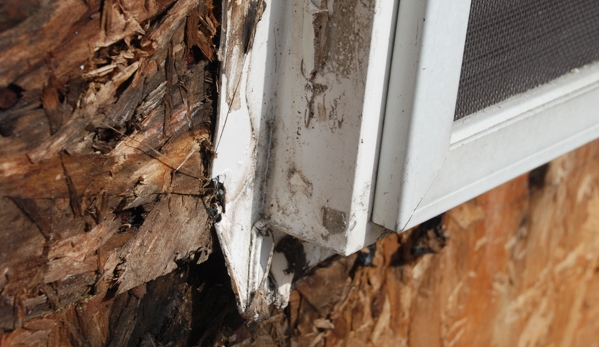 HomePRO - Fair Oaks, CA. Close-up of Dry-Rot in the Wood Sheeting and a Damaged Nail Fin on the Original Window.