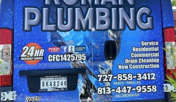 Roman Plumbing - New Port Richey, FL