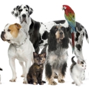 Featured Creatures Care - Pet Sitting & Exercising Services