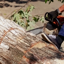 Island Greenery Landscape - Tree Service