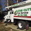 Clean Cutt Tree Service LLC gallery