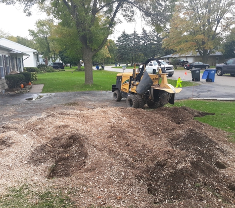 Powerhouse Stumpin - Appleton, WI. No stump to big for our grinding unit.