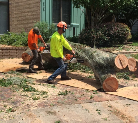 Kevin's Tree Service - Oviedo, FL