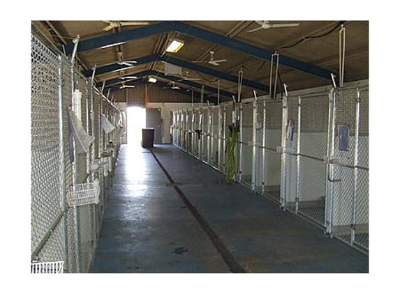 Scooby -Doo Pet Resort - Beverford, VIC