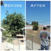 Gutierrez Tree Service gallery