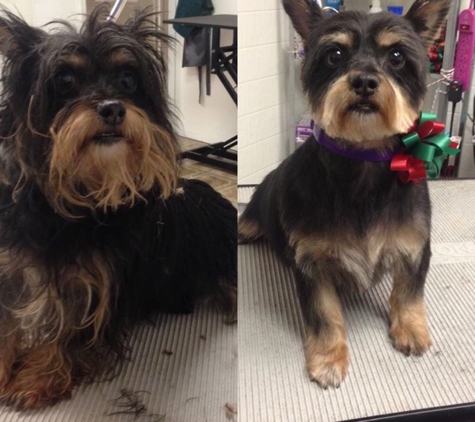 alma's pet grooming and boutique - Chino, CA. ��������