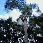 Creeds Tree Service