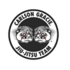 Carlson Gracie gallery