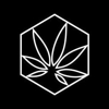 Cannabis Creative Group gallery