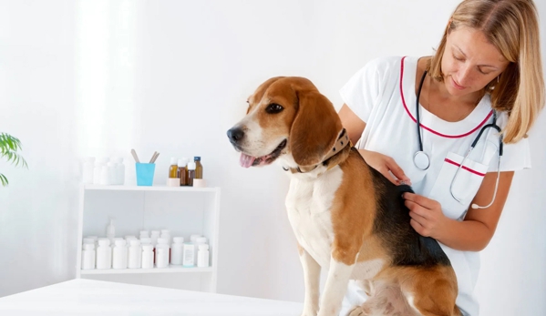 Wetherill Park Vet Clinic - Wetherill Park, NSW