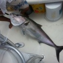 Destin Go Fishing - Fishing Guides