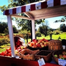 Eddy Farm Pumpkin Patch - Farms