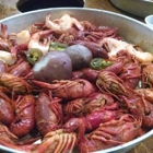 Louisiana Crawfish Time