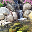 Serene Water Gardens - Ponds, Lakes & Water Gardens Construction