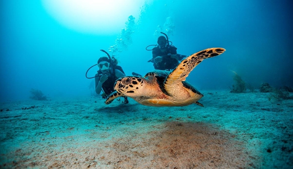 Fathom Five Divers - Koloa, HI