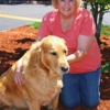 Linda's Pet Sitting Services  LLC gallery