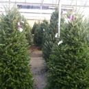 Pike Family Nurseries - Garden Centers