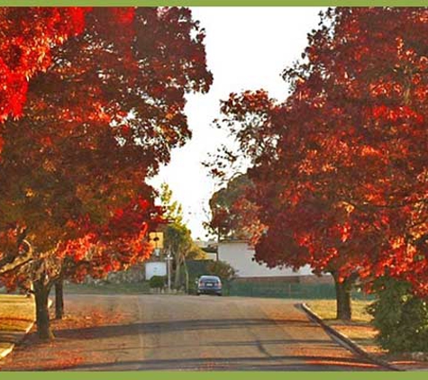 Upper Lachlan Shire Council - Waste Depot - Crookwell, NSW. Upper Lachlan Shire