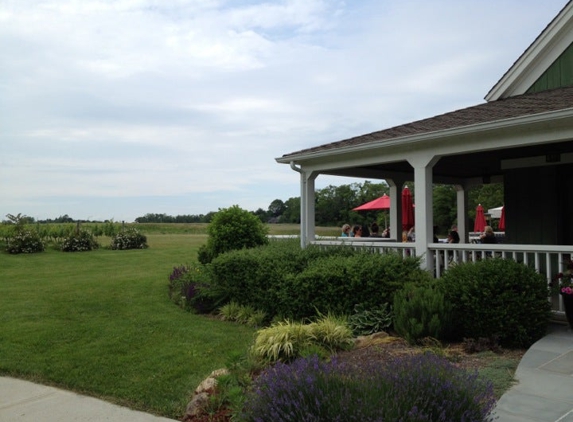 Macari Vineyards & Winery - Cutchogue, NY