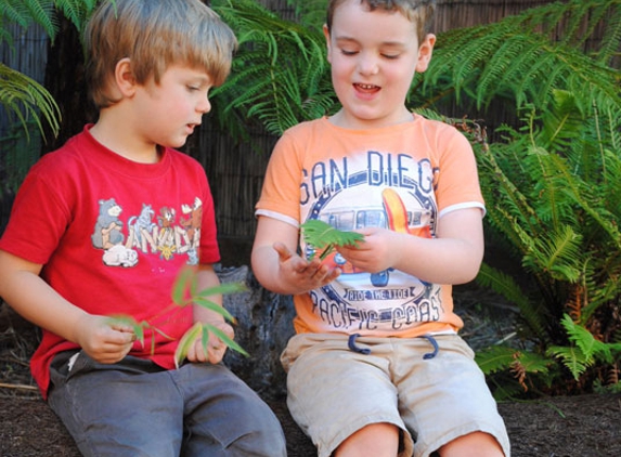 Phoenix Childrens Services - Howrah, TAS