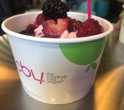 TCBY - Fort Collins, CO