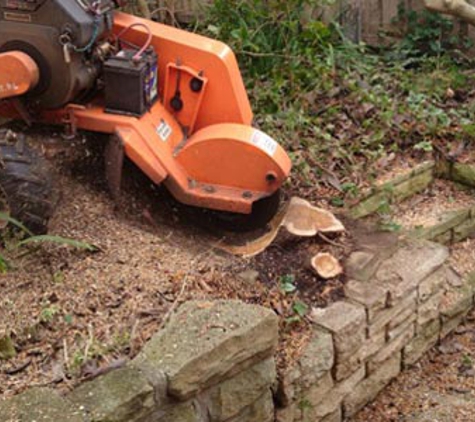 Horizon Tree Service - Lutana, TAS