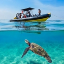 Diamond Head Cruises - Tourist Information & Attractions