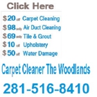 Carpet Cleaning The Woodlands